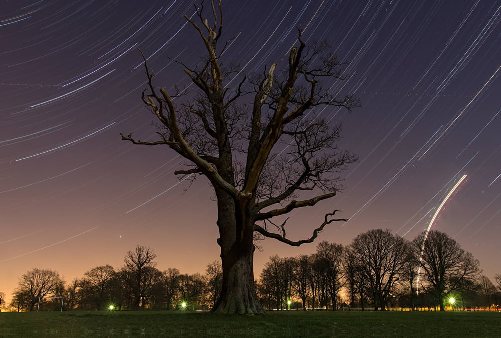 star trails at park