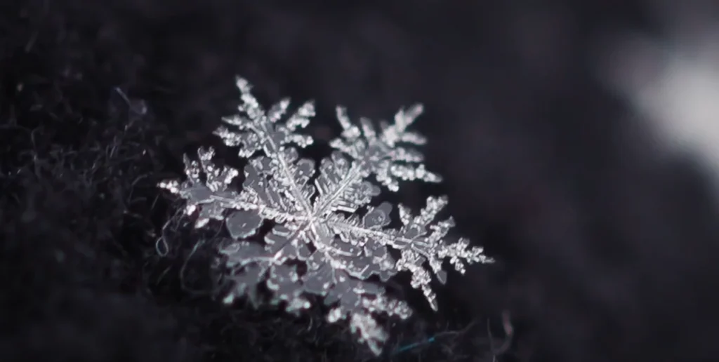 snowflake photography
