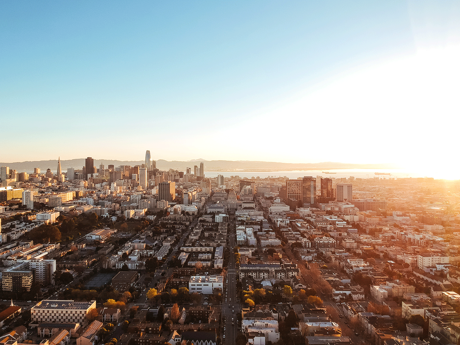 aerial photography city scape